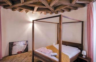 Chateau de Saint Dau - Foto 15