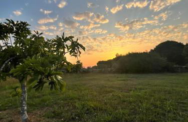 Tenuta Mare Verde - Foto 21