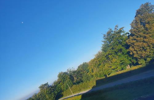 Energetischer Urlaub in der Eifel - Foto 20