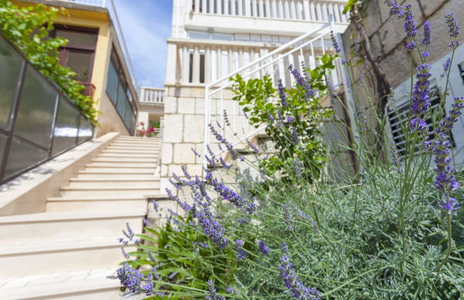 Guesthouse Ivan Ledic - Foto 23