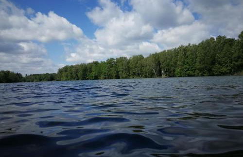 Holiday Home Natur by Interhome - Foto 15