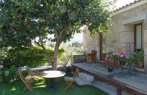 Quinta Do Acipreste (Antiga Quinta Da Torre) - Photo 26