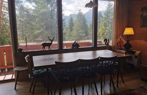 Chalet nel bosco - Photo 20