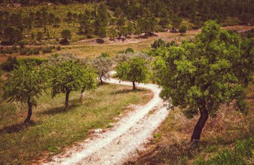 Casa Mundo - 16th century traditional white village house with pool - Foto 48