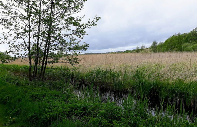 6 Person Holiday Home in Ebeltoft - Foto 16