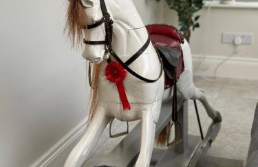 Meathpark Country House - Foto 26