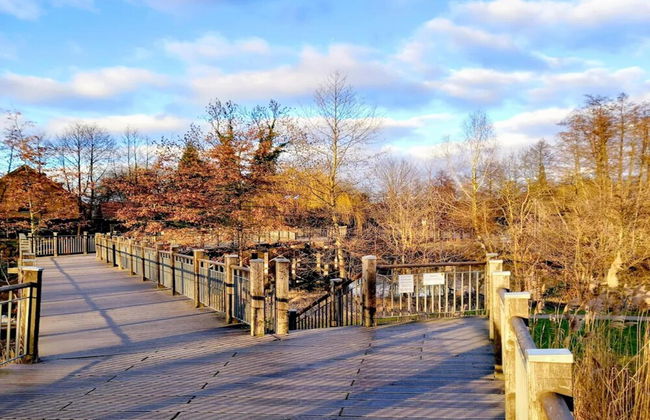 Reihenhaus in Lubben an der Spree - Foto 25