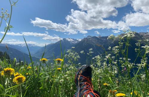 Moar am Ort - Foto 16