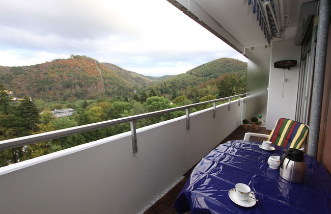 Ferienwohnung Riefenbach - Foto 17