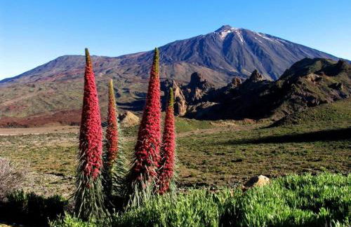 Maravilloso duplex frente al mar con parking propio a pie de playa - Foto 30