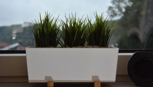 Ferienwohnungen an der Liebesleite Anita Pratsch - Foto 3