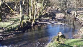 Haus Annelie - Foto 3