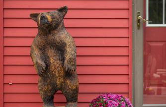 Big Red Cottage near Sunapee and New London - Foto 17