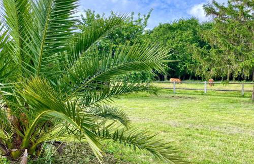 Domaine du Galon d'Or - Photo 16