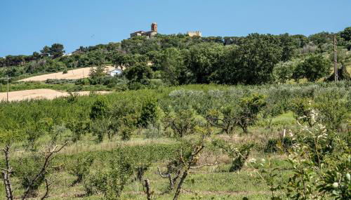 QUEEN appartamenti e camere - Foto 3