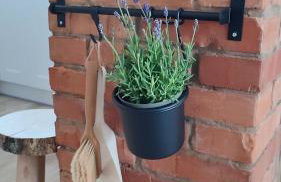 Brama Gór - Foto 14