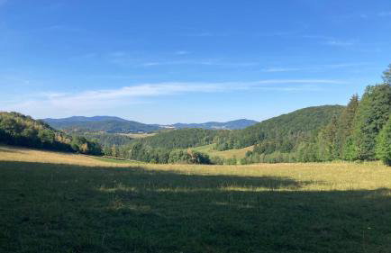 Na Piotrowickiej Przełęczy - Foto 74