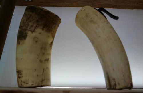 El Parreiro VUT-LE-1607 - Photo 46