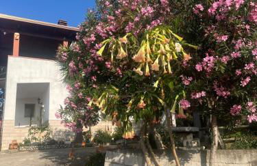 La Casa Del Nonno - Foto 26