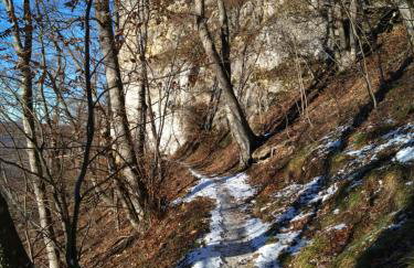 Ferienwohnung An der Loipe - Foto 15