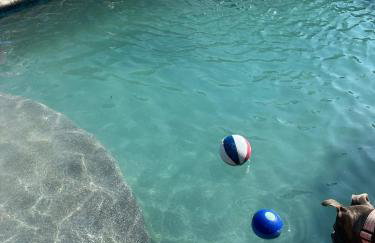 Private Pool, Beach Access, Luxe Kitchen, Fire Pit & Outdoor Entertaining Space - Foto 14