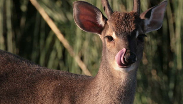 Río Negro Valley + Bubalcó Ecopark Tour - Photo 3