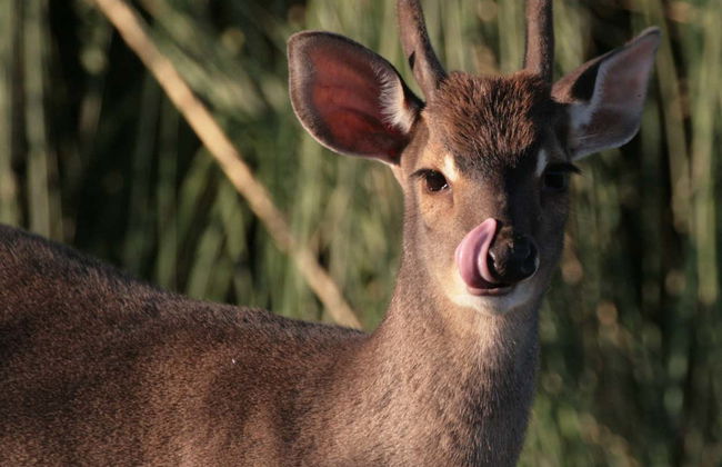 Excursion au Valle del Río Negro + Ecoparc Bubalcó - Photo 3