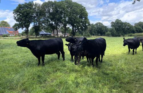 Reihenhauser in Strackholt - Foto 68