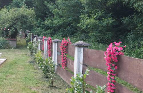 Kuća za odmor Mažuran - Foto 70