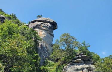 Shiners Hideaway - Cozy Cabin with Trails & Family Memories - Foto 41