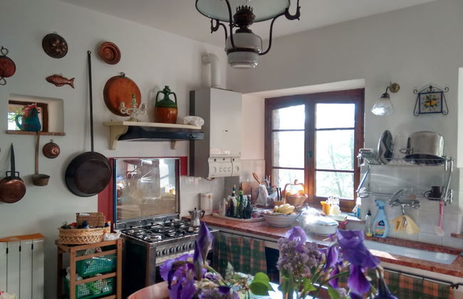 Agriturismo Casa Greppo - L'Ulivo - Foto 8