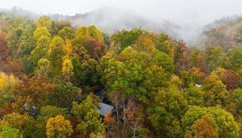 Modern Cabin with Hot Tub & Foliage Views - Foto 4