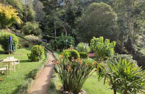 Chalé da Cachoeira - Cachoeira particular dentro da hospedagem - Foto 18