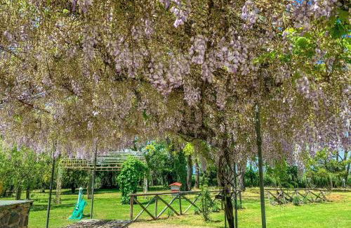 Madeleine: Luxury Villa in Italy - Foto 46