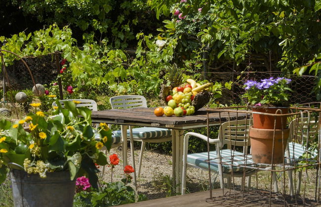 Vaquería Canta el Gallo - Photo 51