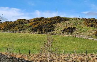 The Three Kings Inn - Foto 27