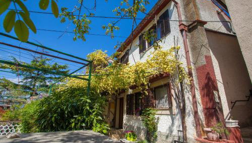 Dada Holiday Home - Photo 1, Garden