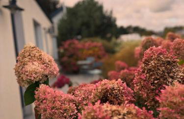 Villa Botanica - Foto 20