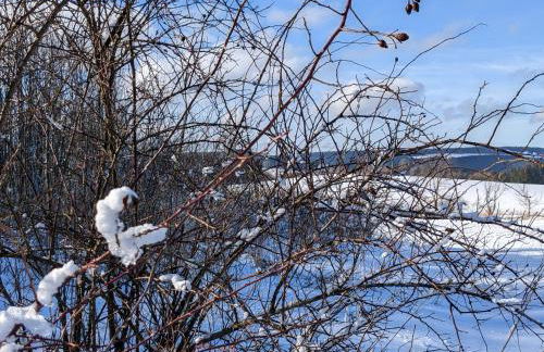 Ferienwohnungen Schönherr - Foto 14