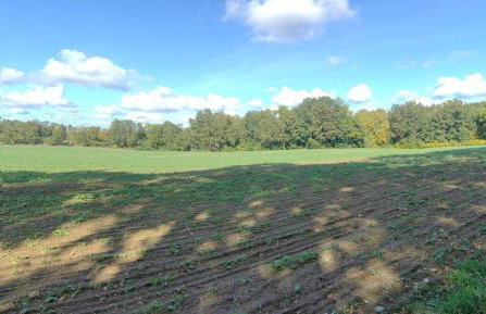 Gospodarstwo Agroturystyczne Agroletnica - Foto 115