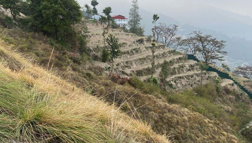 Private Nepal Hiking Day Trip - Foto 3