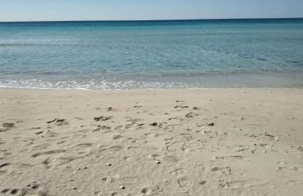 Casa di Rita al Bassamarea - Foto 15