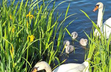 Relaks XXL - Foto 13