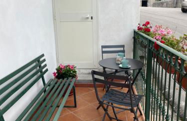 Il Gelso Bianco -The White Mulberry Tree - Foto 13