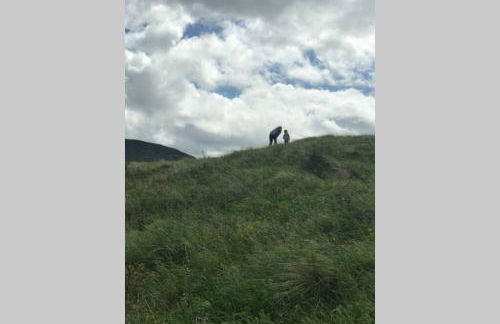 The Byre (Unusual and Different). - Foto 20