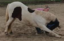 Gite Provençal du Mas Arnaud - Foto 31