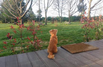 Quinta Chão da Bispa - Foto 10