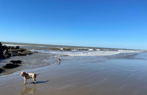 Modern Funky Private Chalet at the Beach - Foto 45