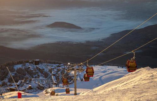 Duplex « les 7 Marmottes », Les Balcons de Recoin - Foto 15