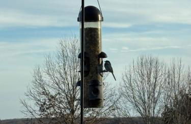 Haven @ the Lake | Hot Tub | Fire Pit| Fireplace - Foto 29